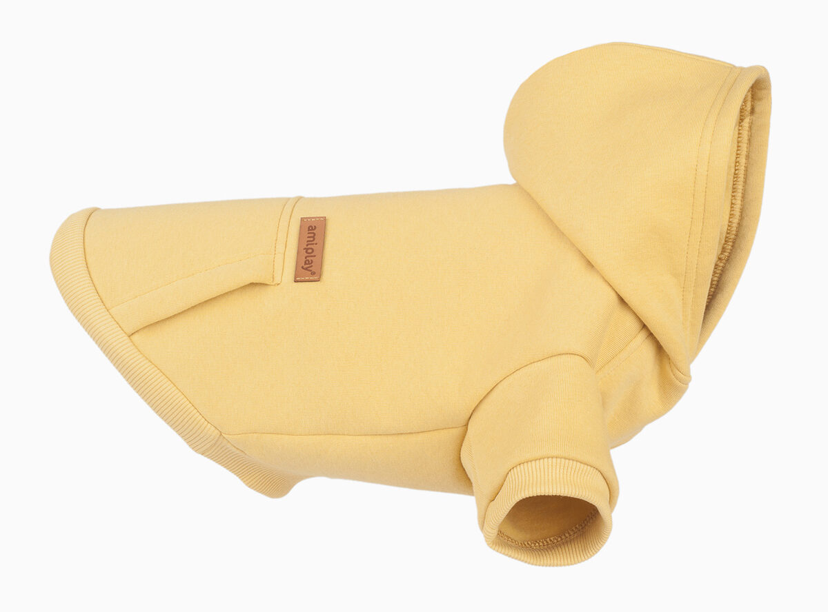 04.-Hoodie-Texas-Yellow-img1