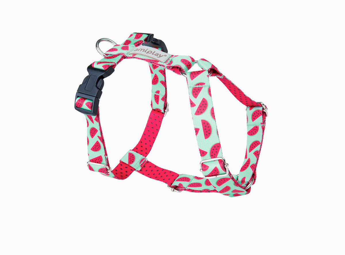 amiplay_BeHappy_Adjustable_harness_Guard_Watermelon